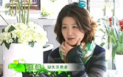 现场直播沈女士两颗缺失磨牙的即刻"复生"